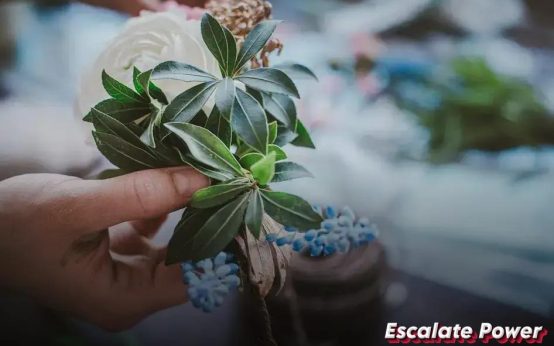 How to Create a Financial Plan for Large Purchases: Top Strategies