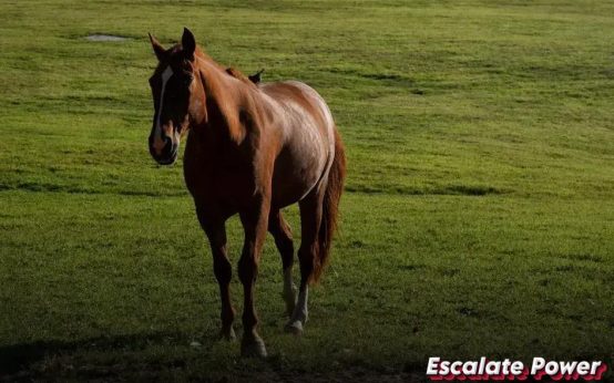 Tips for Managing Living Expenses: Save and Thrive Today