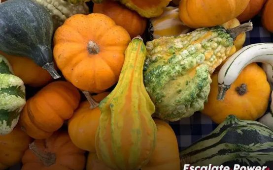 Tips for Managing Utility Bills: Save Money and Reduce Stress