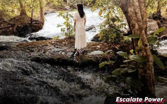 Tips for Reducing Banking Fees: Proven Strategies to Save Money