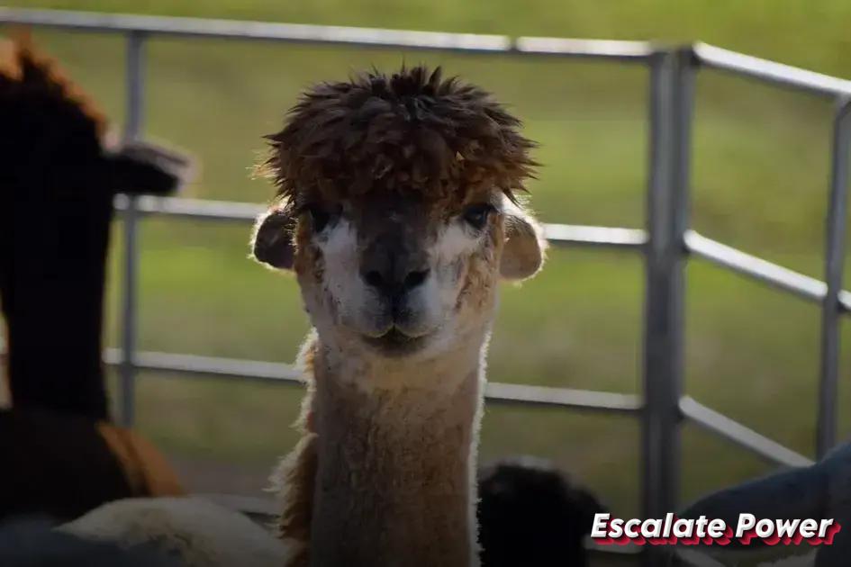 Upgrade to Energy-Efficient Appliances